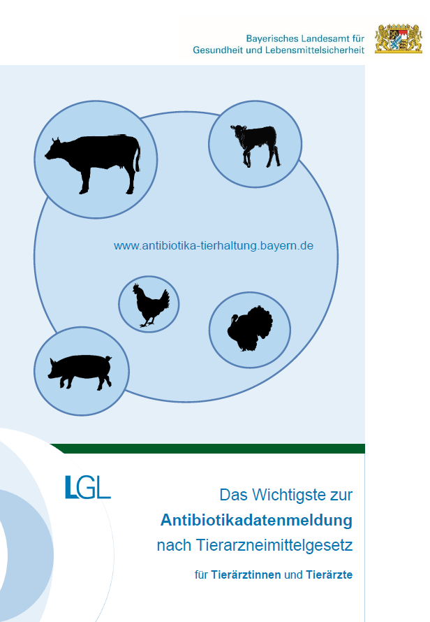Tierarztbroschüre 'Das Wichtigste zur Antibiotikadatenmeldung'